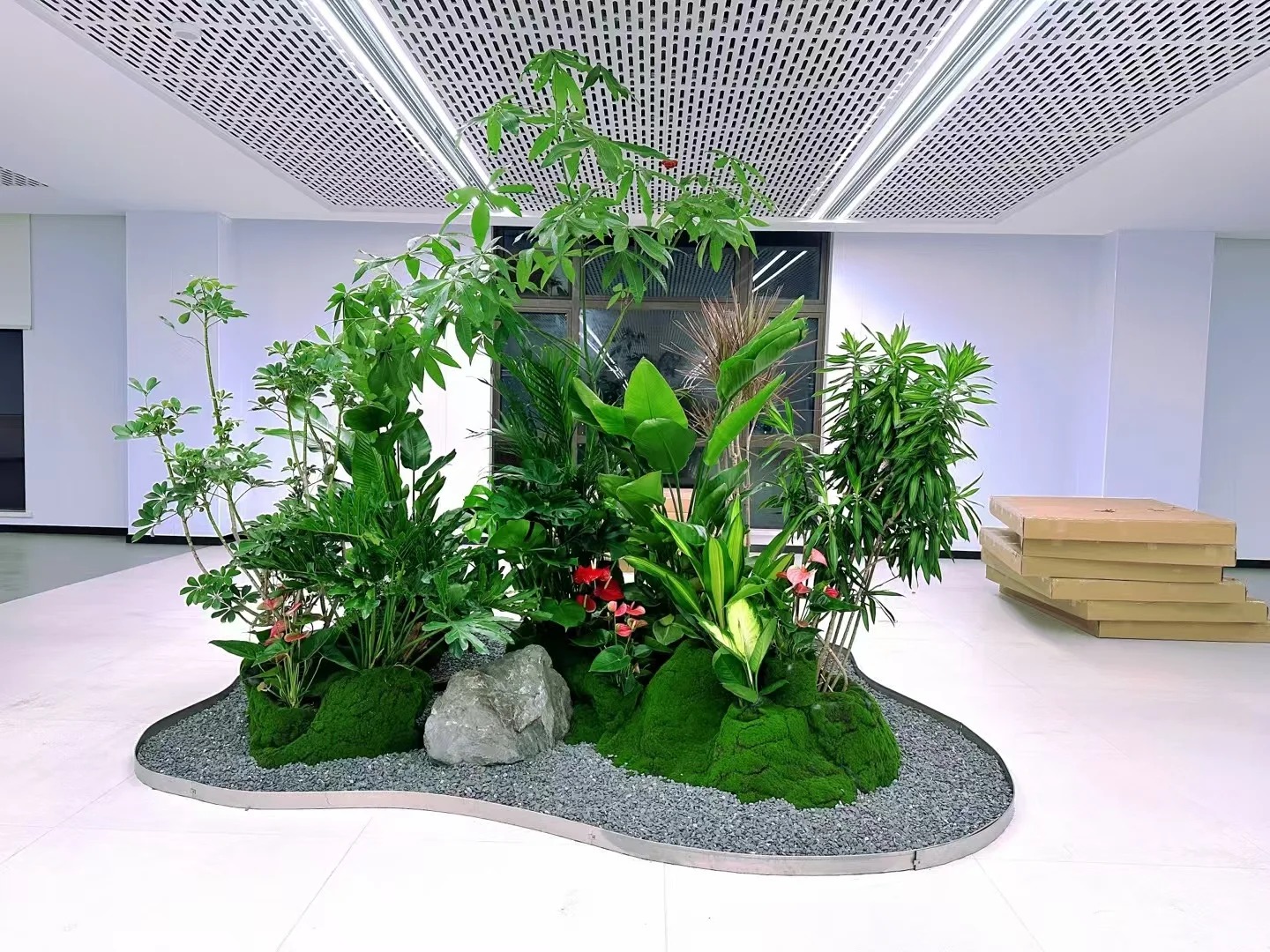 宁波绿植租摆最全攻略，看完直接上手